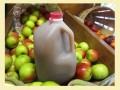 Apple Cider